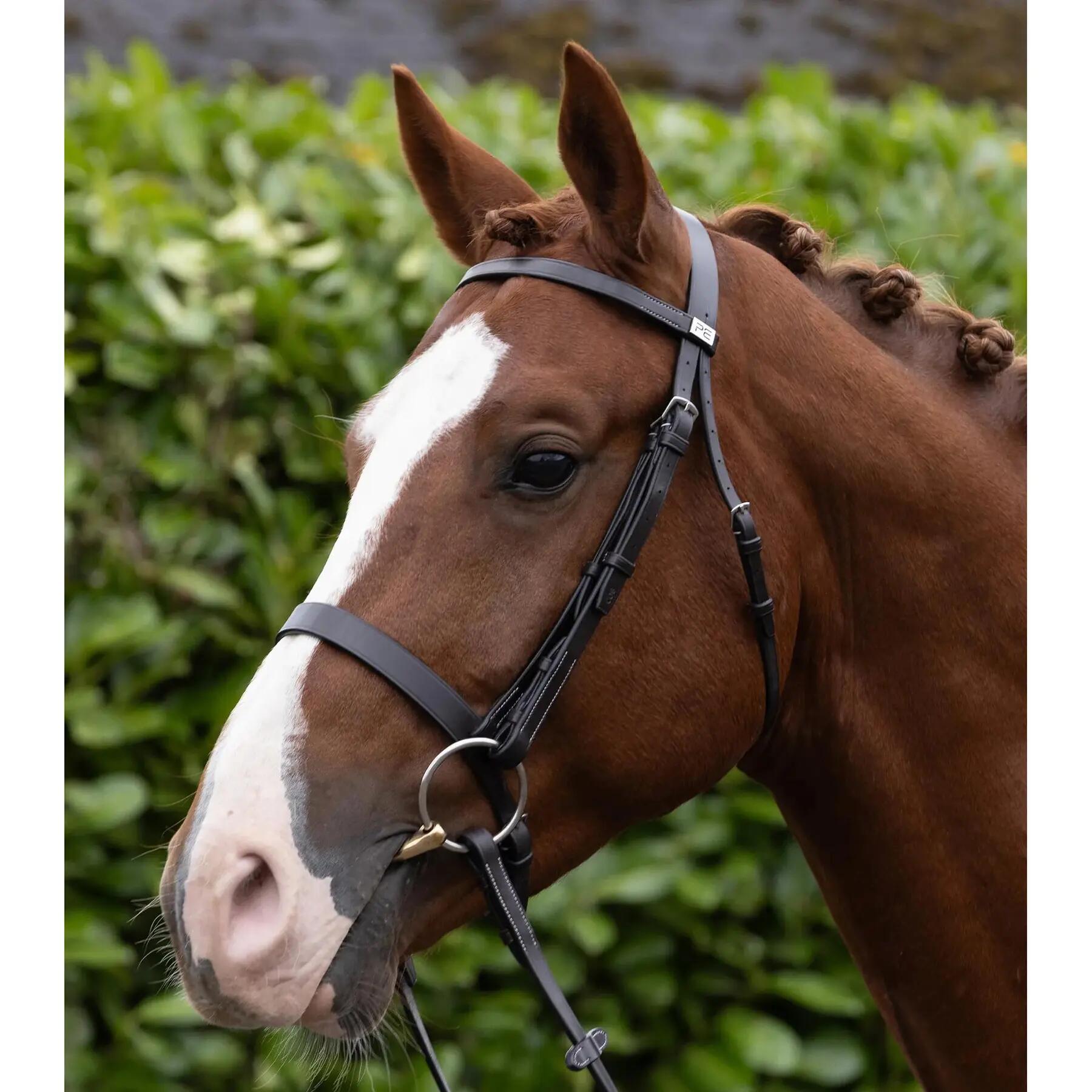Frontale per cavallo Premier Equine Hunter 5/6