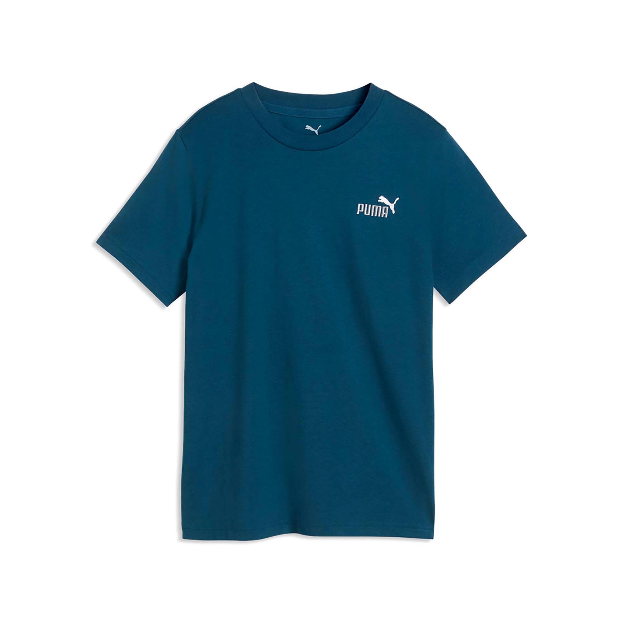 PUMA picture