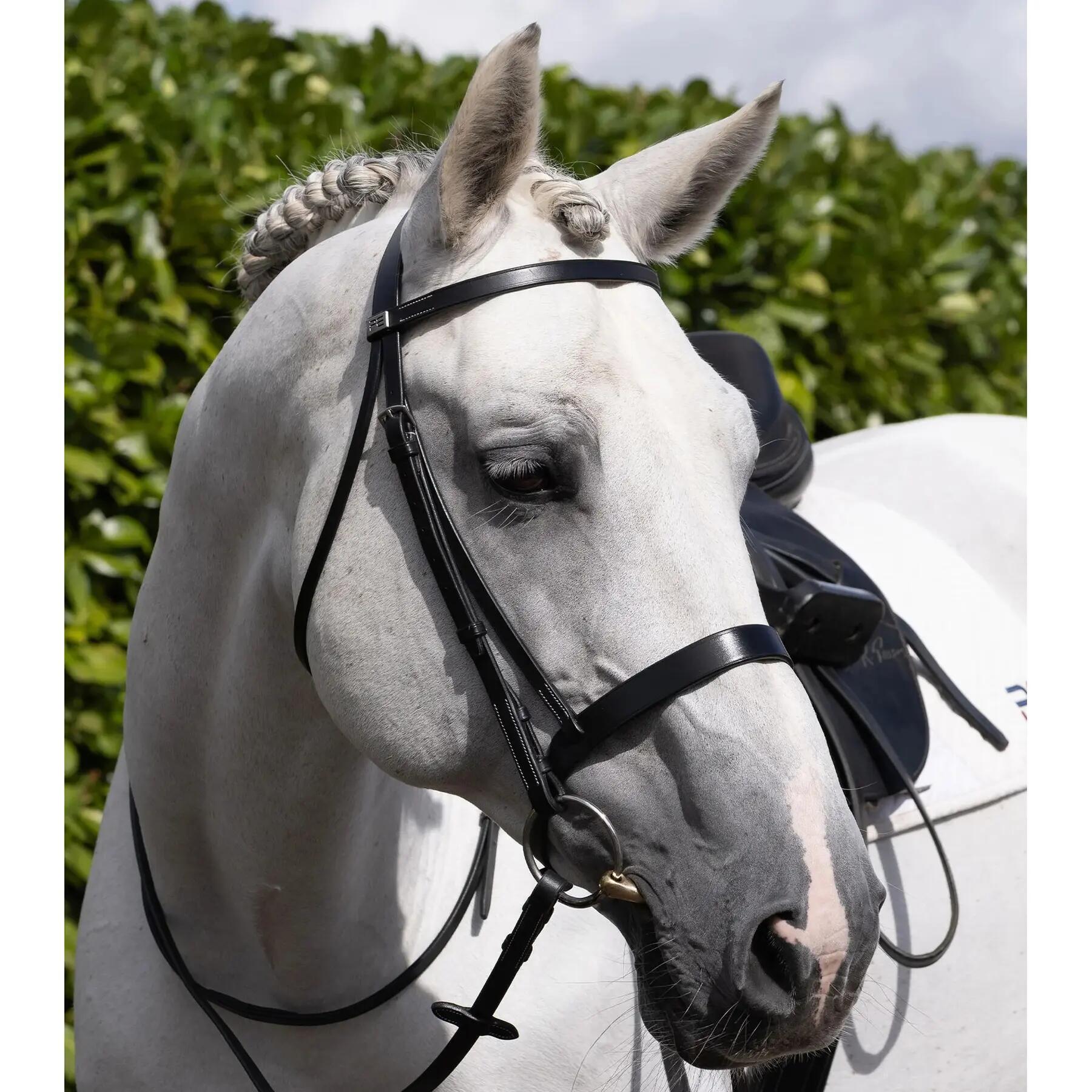 Frontale per cavallo Premier Equine Hunter 6/6