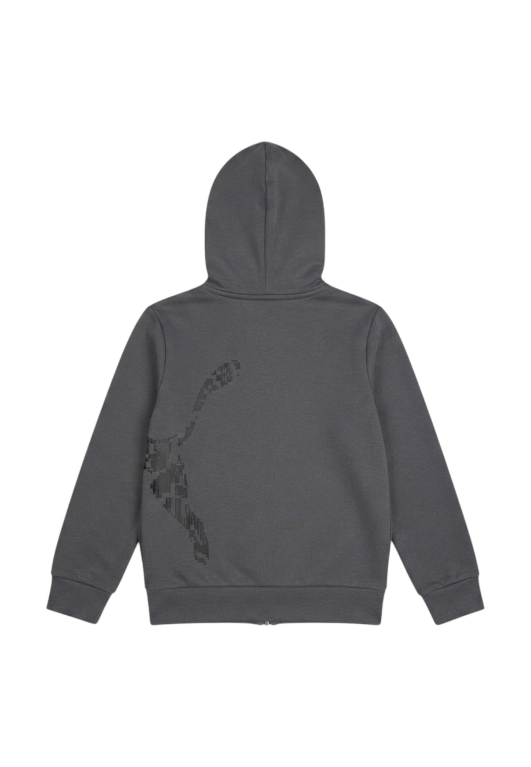 ESS GRAP FULL-ZIP HO COL 34 2/4