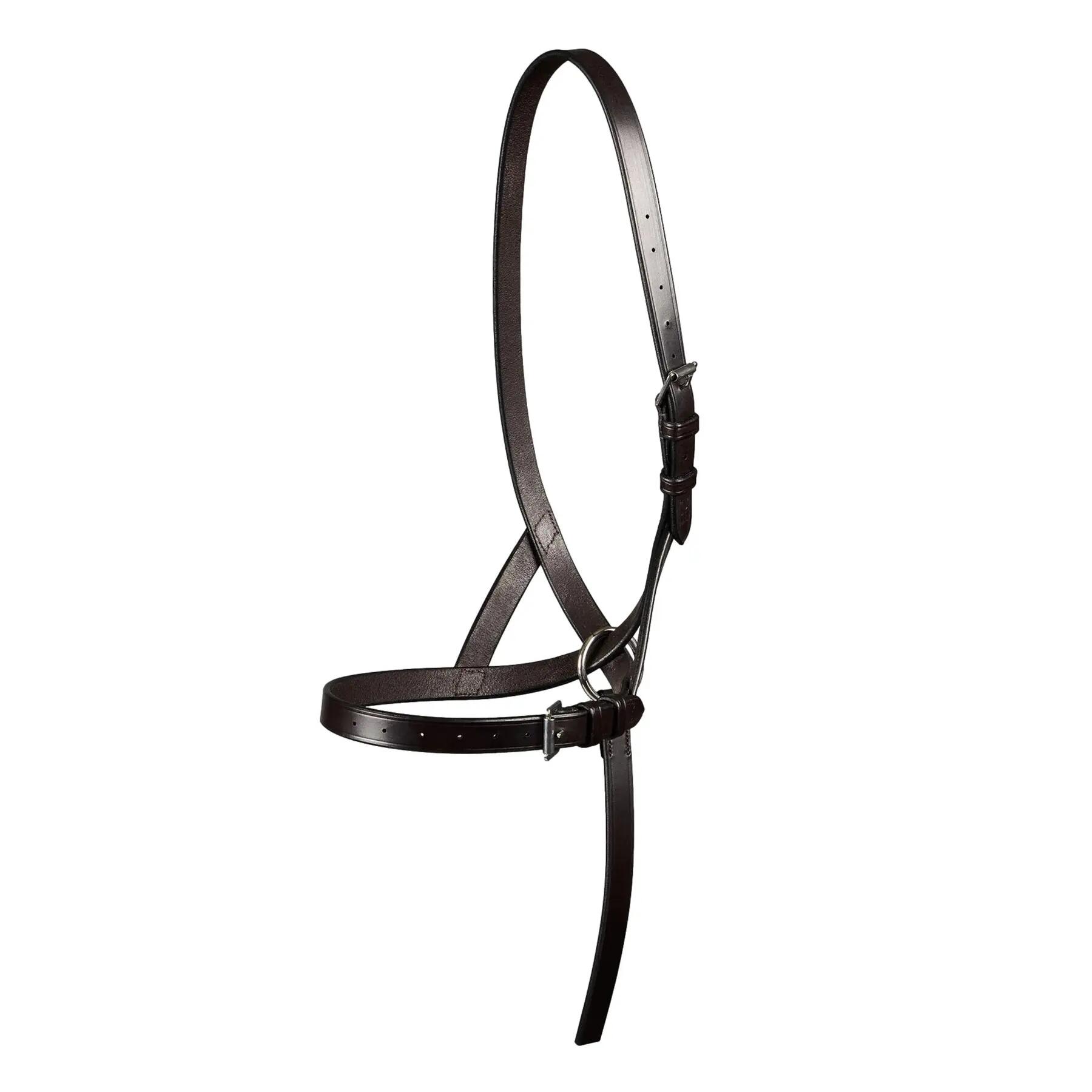 PREMIER EQUINE picture