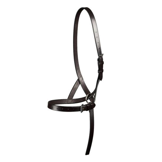 Licol pour poulain 3/4 Premier Equine