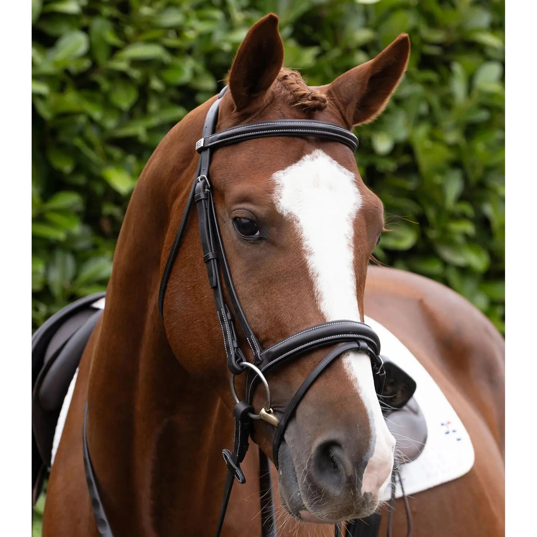 Naczółek dla konia Premier Equine Pro Elevator 6/6