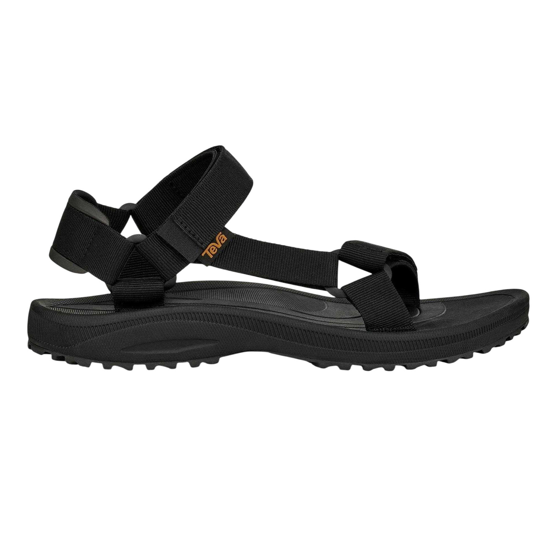 TEVA picture
