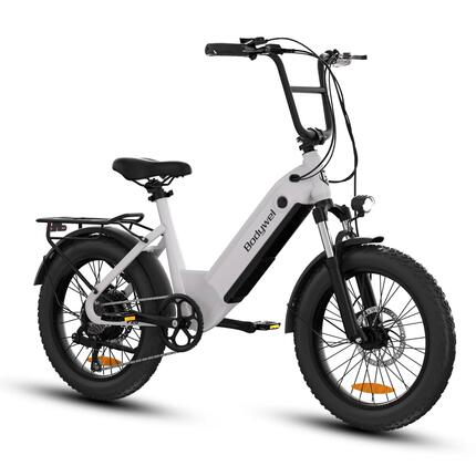 Elektrische fiets Bodywel F20, 48V 15Ah batterij, 20" dikke banden