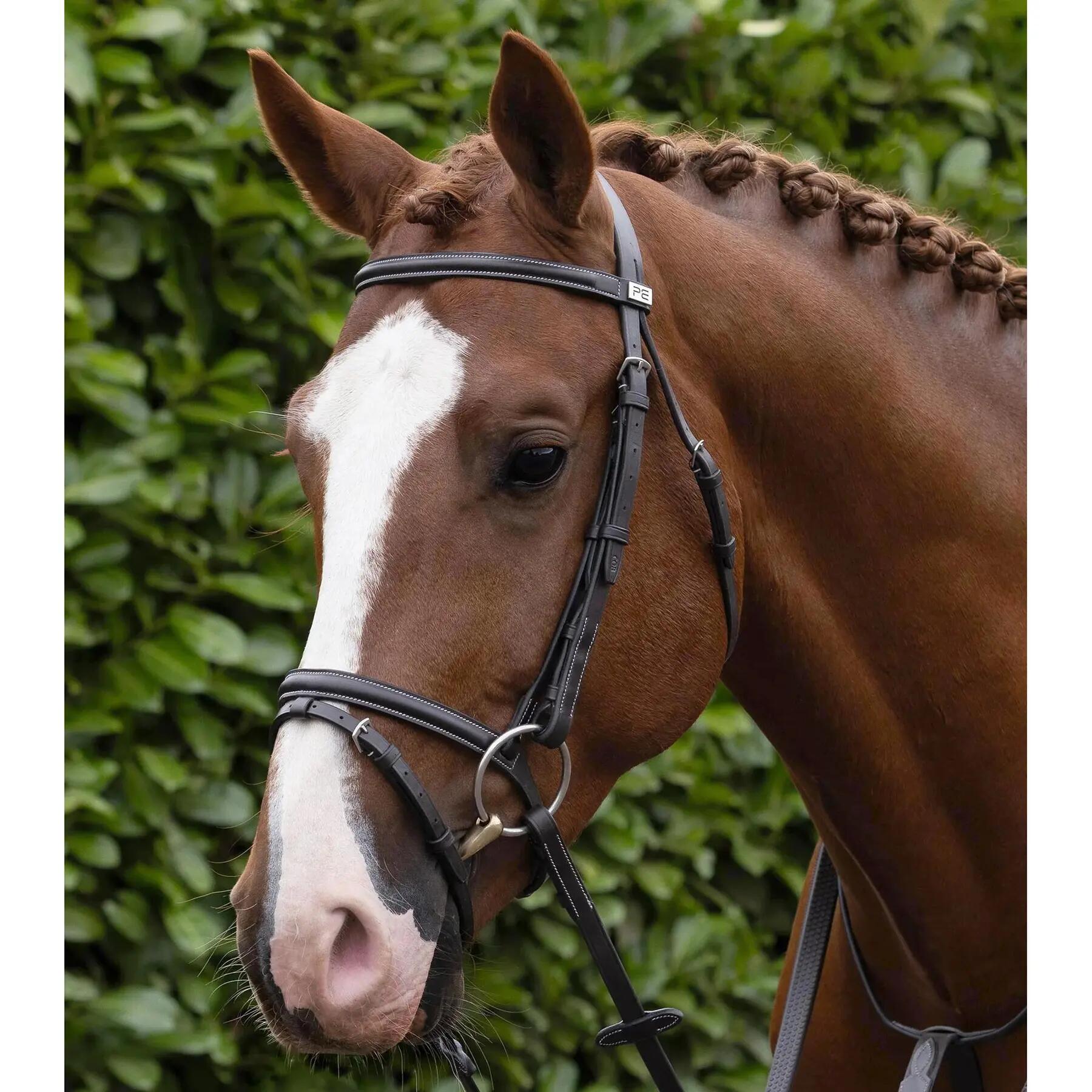 Frontale per cavallo Premier Equine Raised Jump 5/5