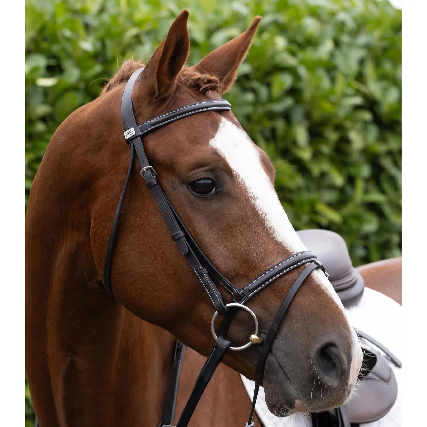 Frontale per cavallo Premier Equine Raised Jump 4/5