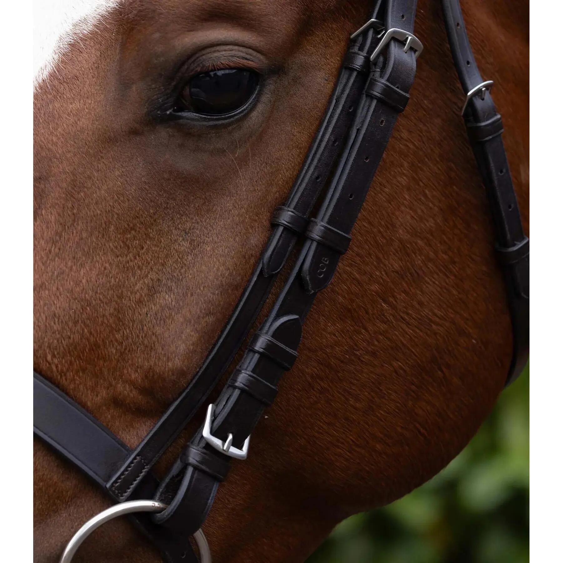 Montante netto Premier Equine 4/4