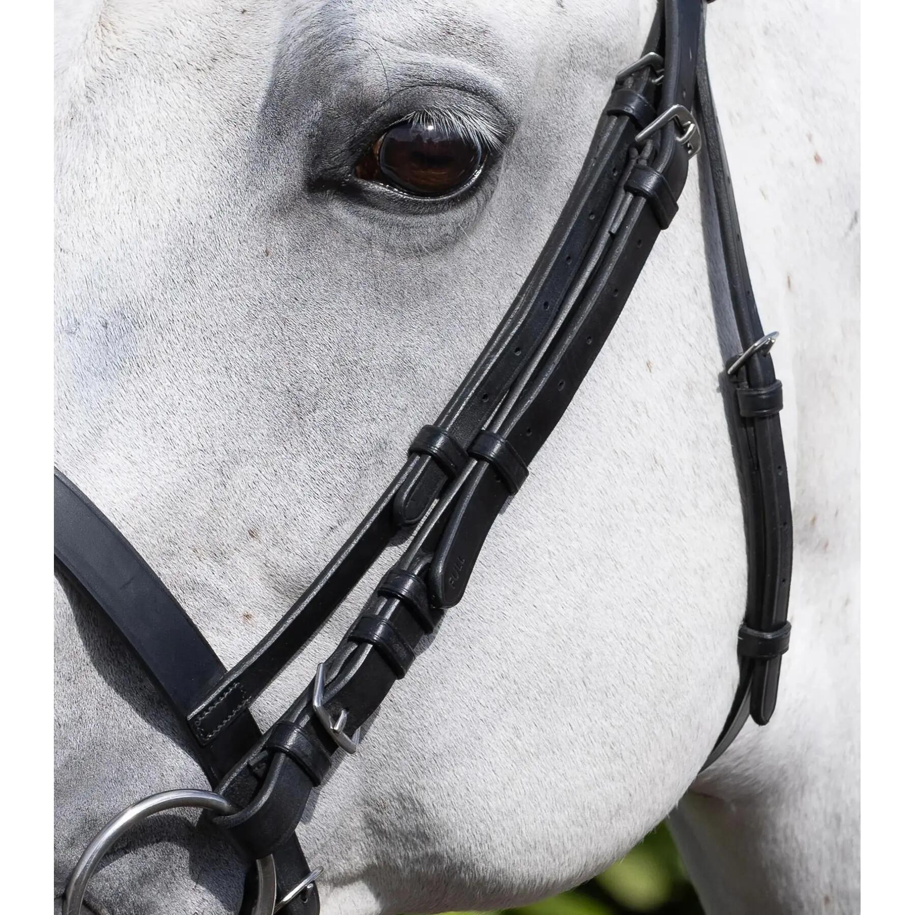 Netto rechtop Premier Equine 4/4