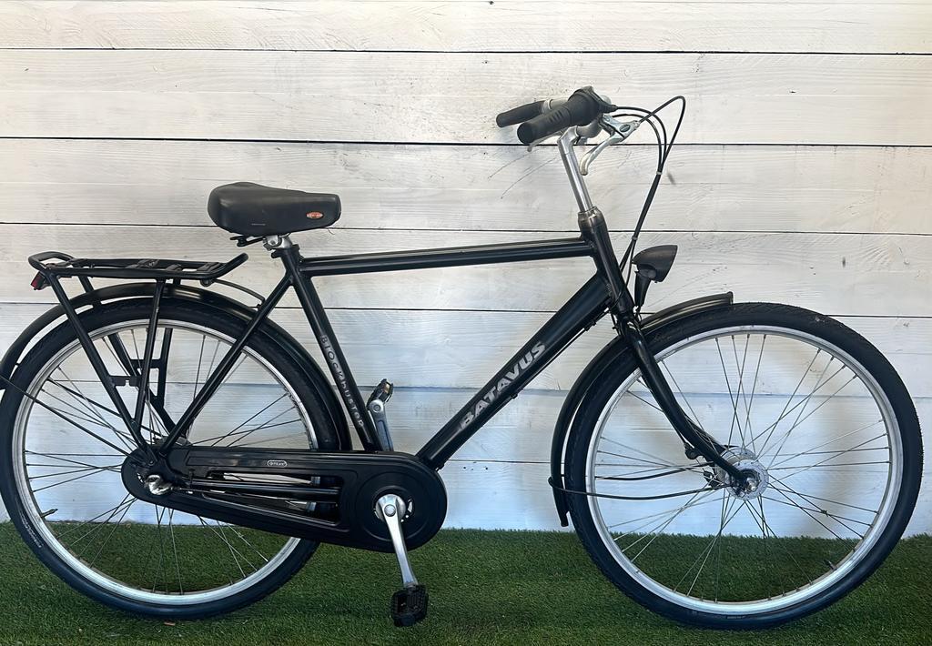 BATAVUS picture