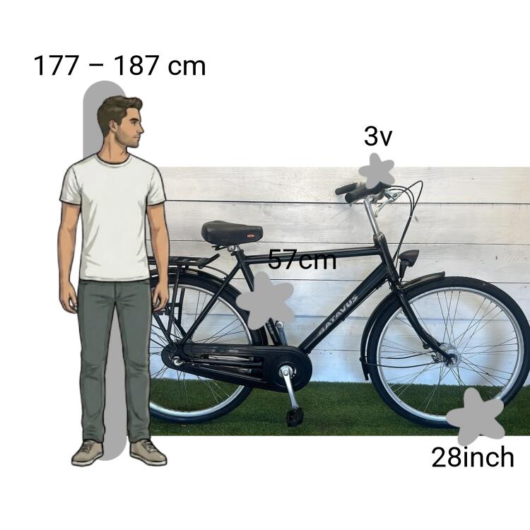 Bicicletta usata Batavus Blockbuster 2/4