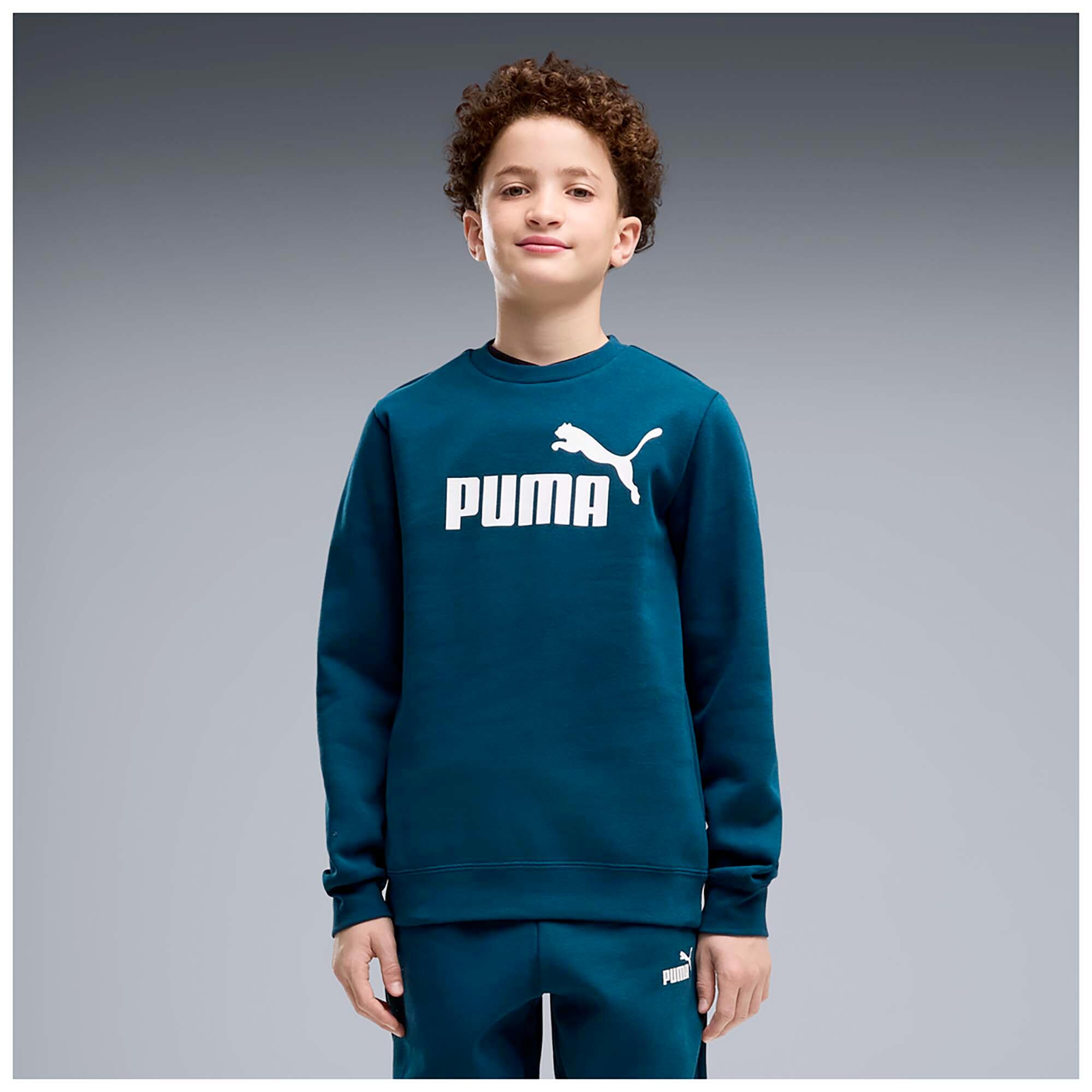 Puma Ess No.1 Logo Crew Sweat Pak Fl B Kind 4/4