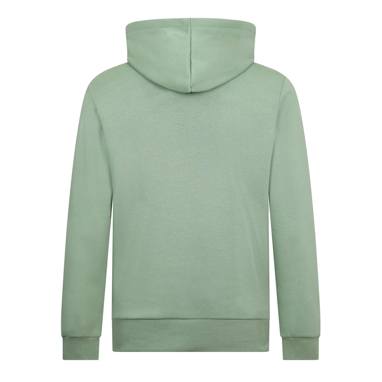 Herenlogo Hoodie (Krokodil) 2/3