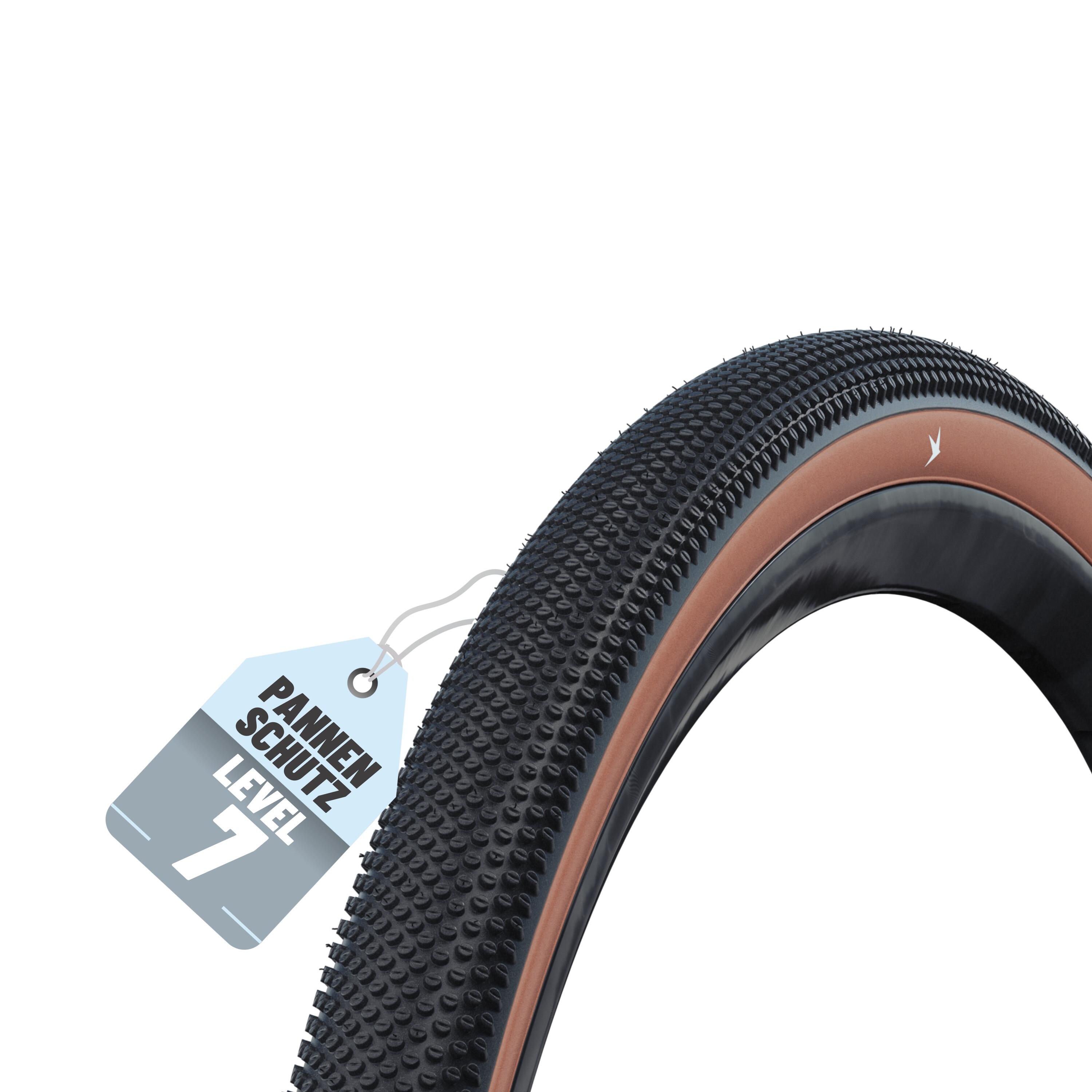 SCHWALBE picture