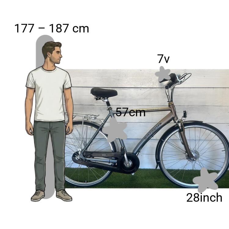 Bicicletta usata Batavus Best Break 2/4