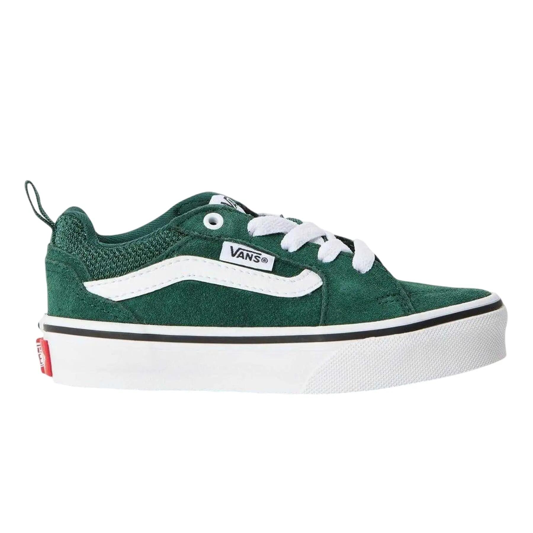 VANS picture