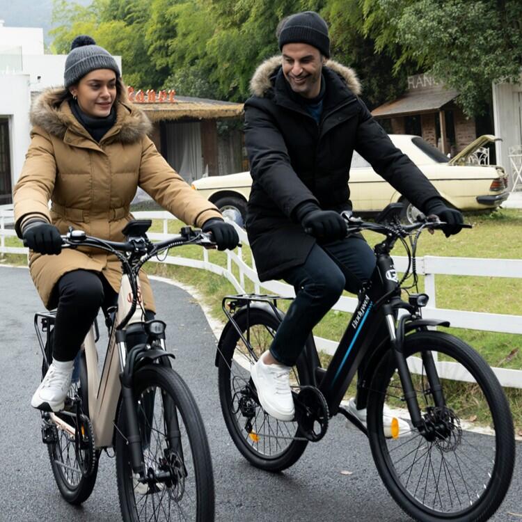 Stads elektrische fiets BODYWEL A26 250W motor 36V 13.5Ah accu 65N·m 3/7