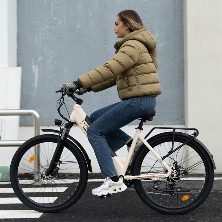 Stads elektrische fiets BODYWEL A26 250W motor 36V 13.5Ah accu 65N·m 4/7