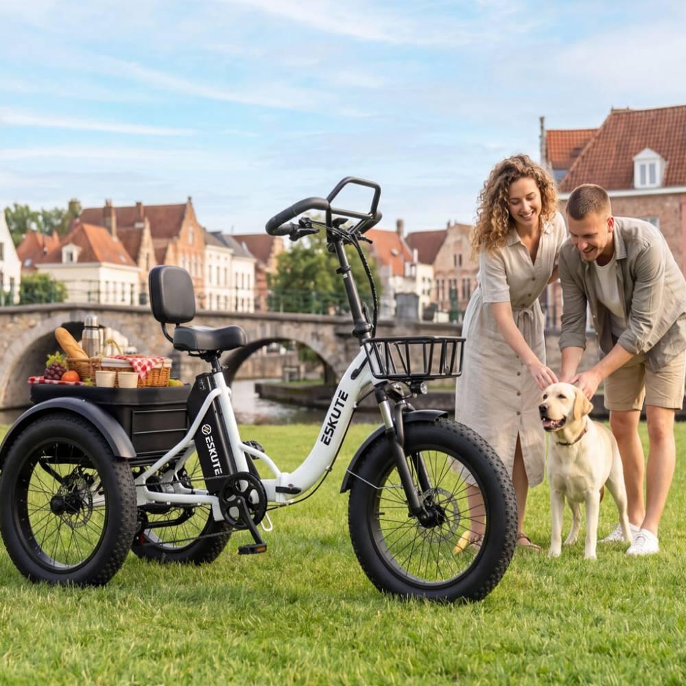T302 Pro triciclo elettrico adulti, batteria 48V20.8Ah, pneumatici 20×4.0". 3/4