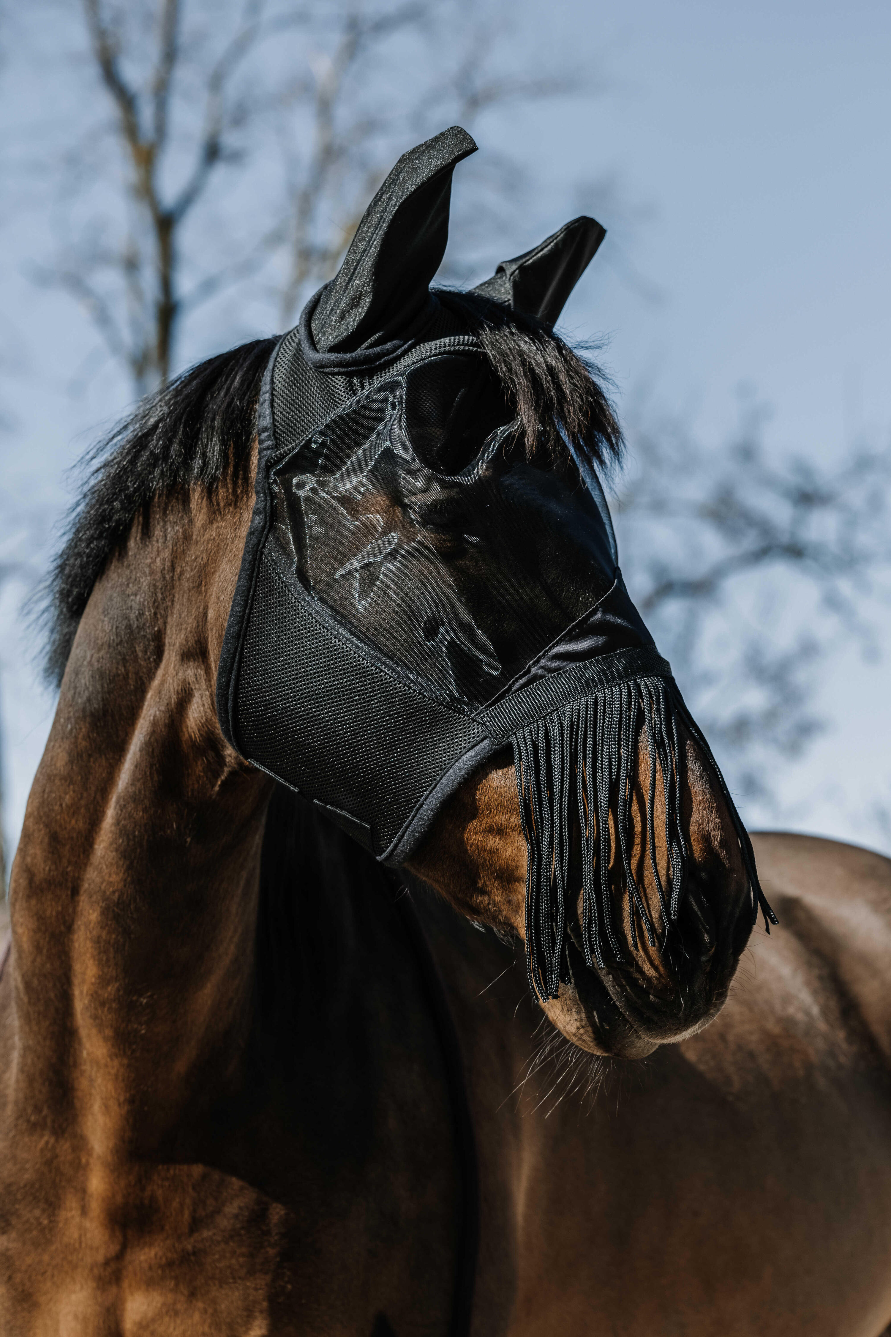 EQUITHÈME picture