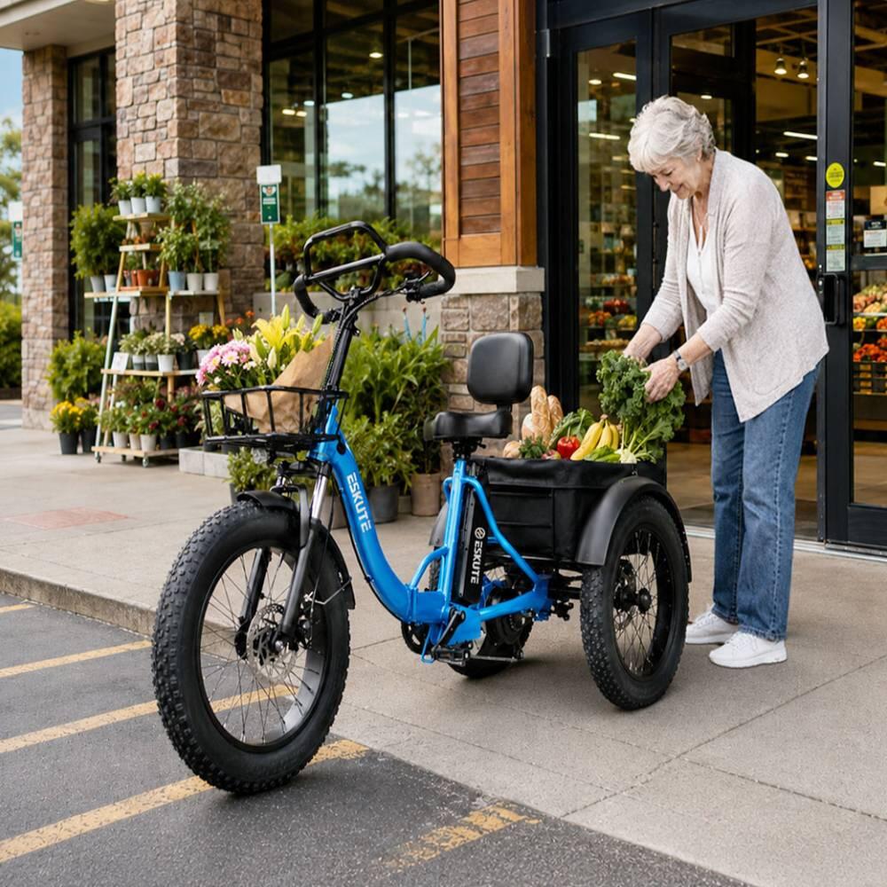 T302 Pro triciclo elettrico adulti, batteria 48V20.8Ah, pneumatici 20×4.0". 6/7