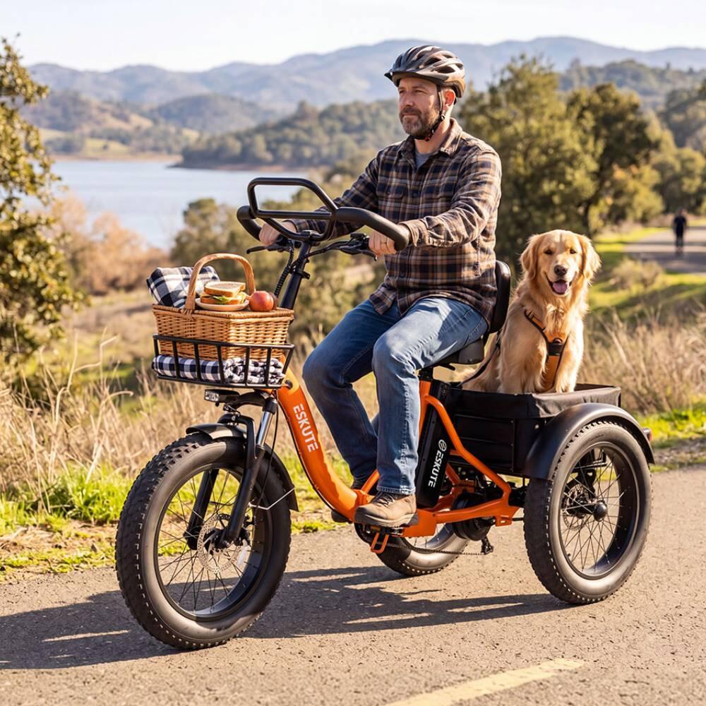 T302 Pro triciclo elettrico adulti, batteria 48V20.8Ah, pneumatici 20×4.0". 3/3