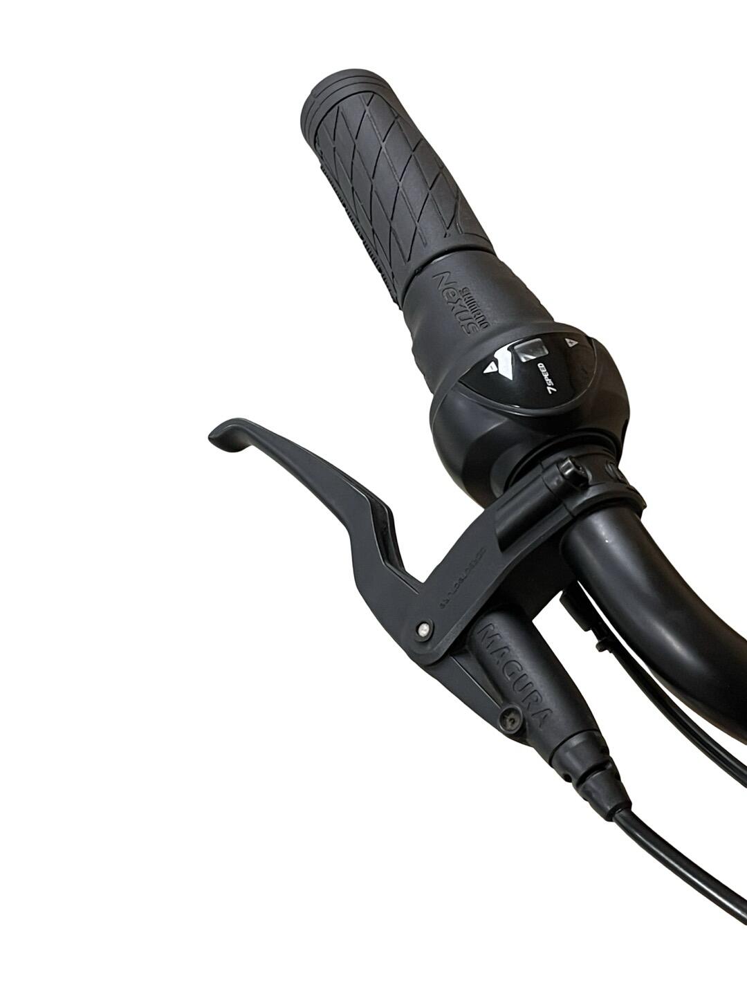 Segunda Vida -  bicicleta eléctrica Gazelle Arroyo C7+ HMB Elite - Como nuevo 5/12
