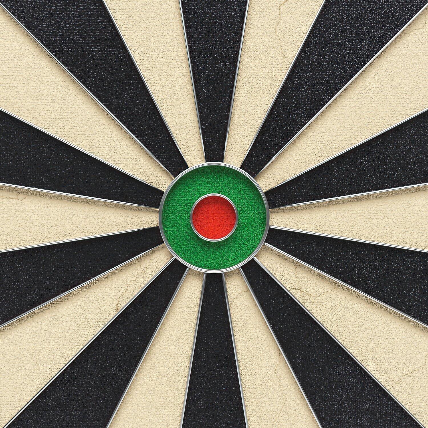 Dardo in acciaio Professionale HD Darts / Steeldarts Unisex 4/6