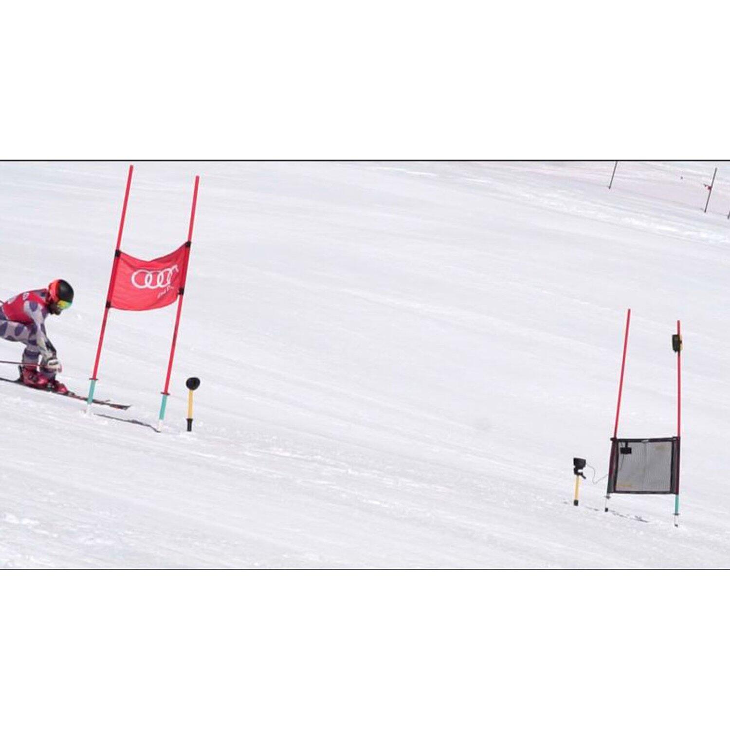 Antennenflagge CxFlag Leichtathletik Unisex 3/4