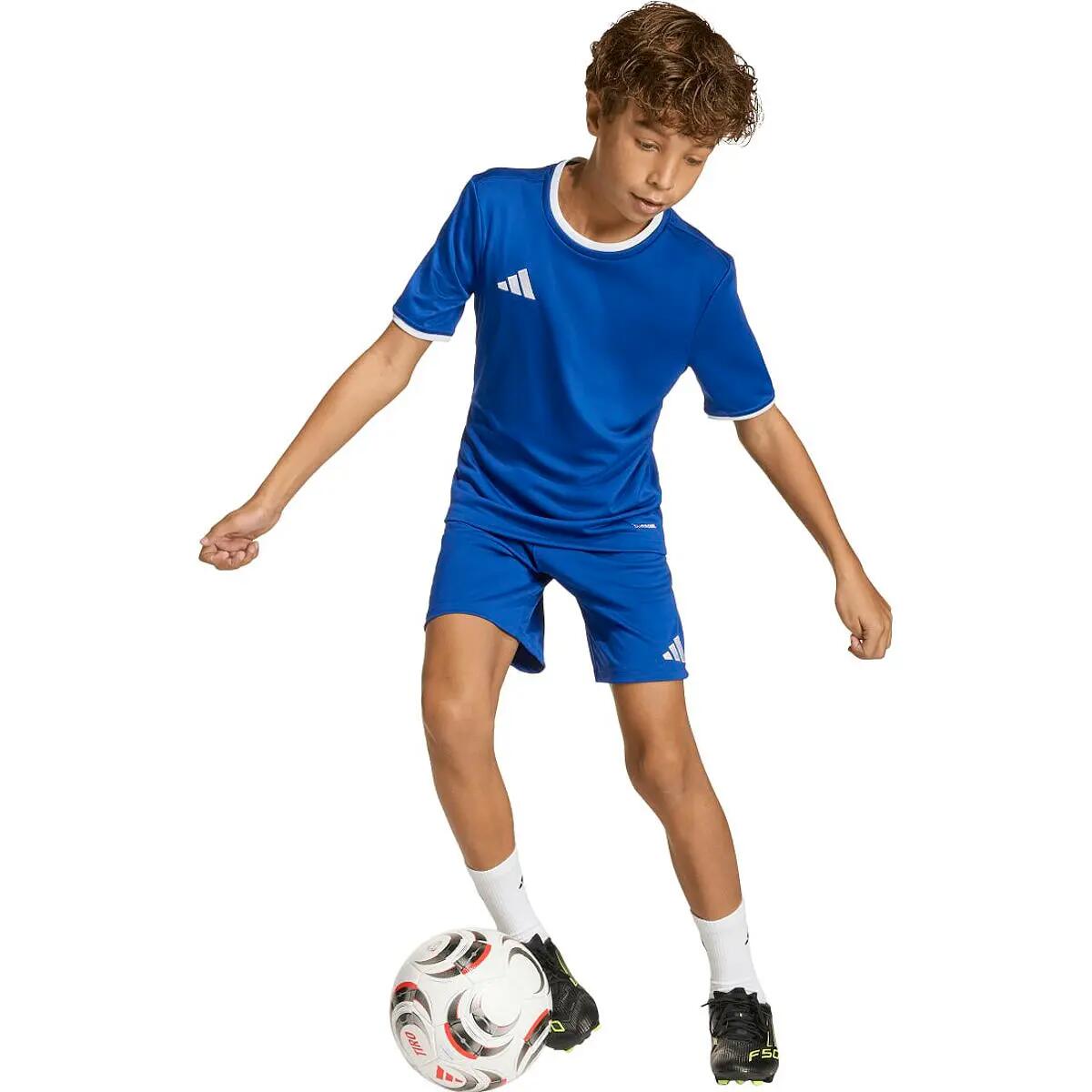 Short football enfants - respirant, durable - Entrada 26 - Royal 5/12