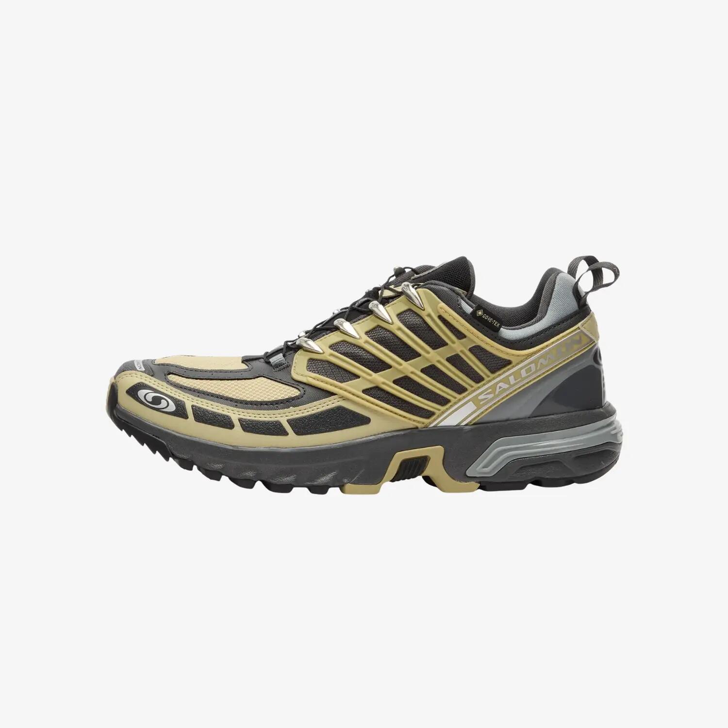 SALOMON picture