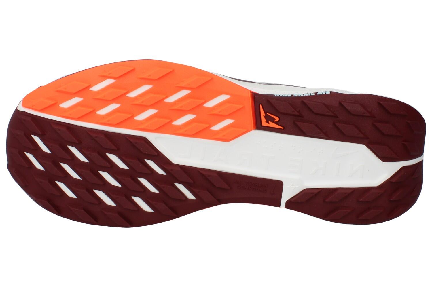 Chaussures de trail Nike Pegasus Trail 5 Multicolore 5/6