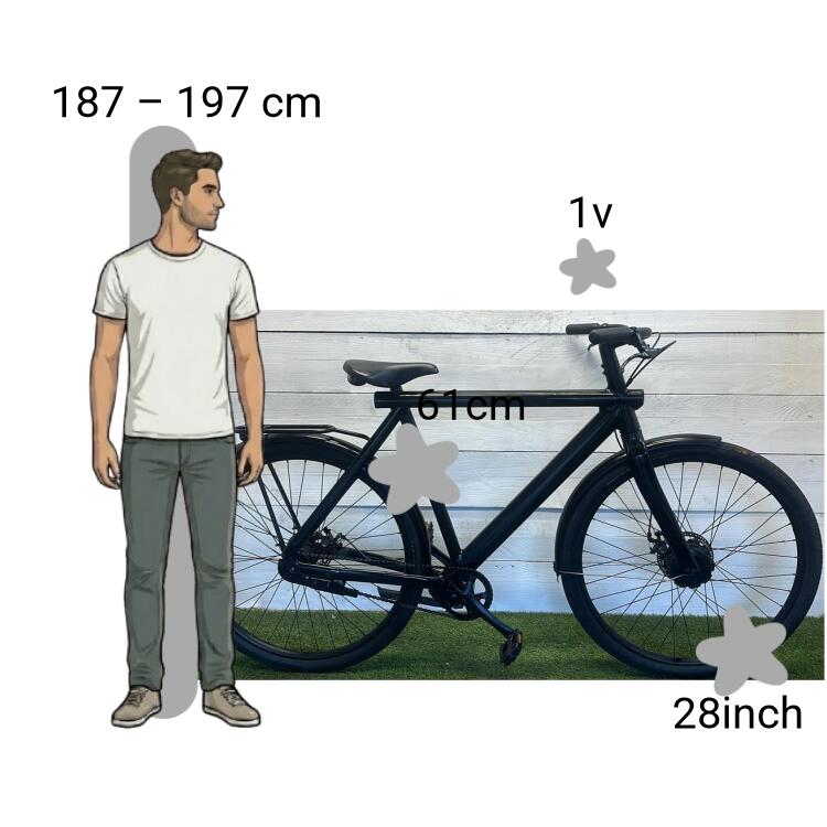 Bicicletta usata Vanmoof 2/4