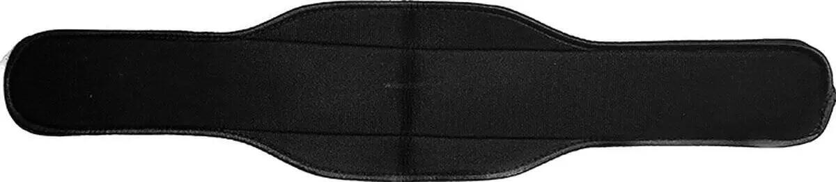 Dip Belt AJ-Sports 3/7