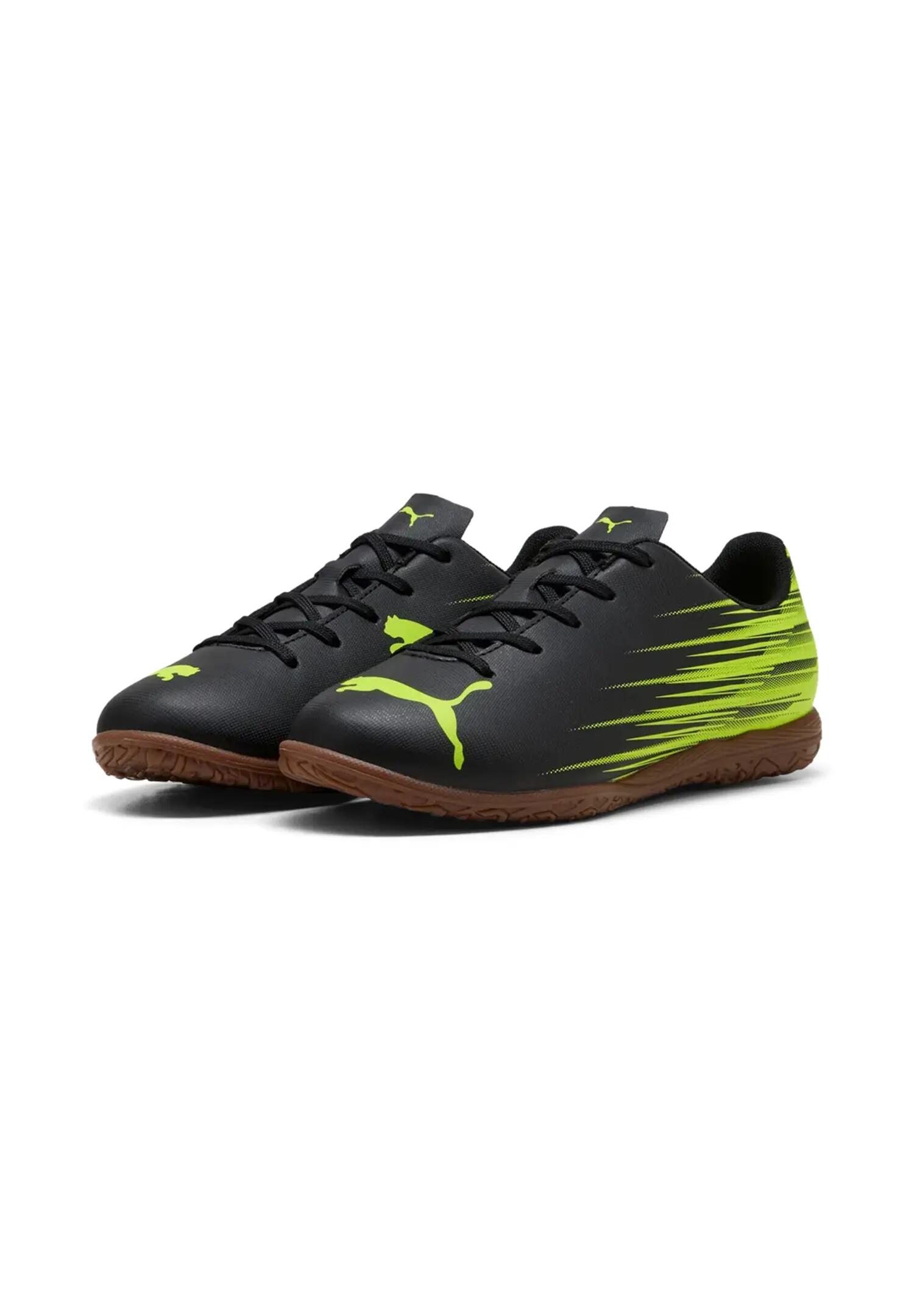 PUMA picture