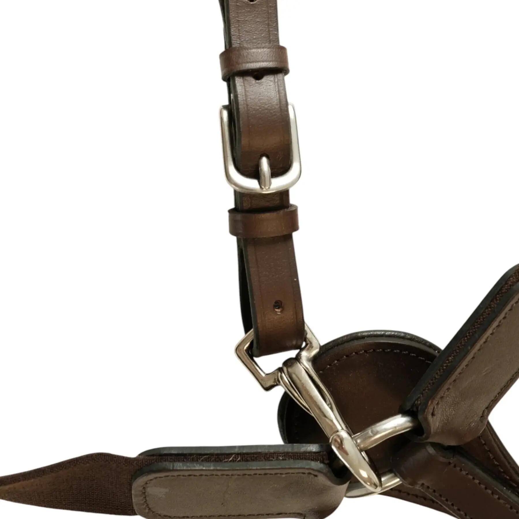 Elastisches Jagdhalsband für Pferde T de T 3/6