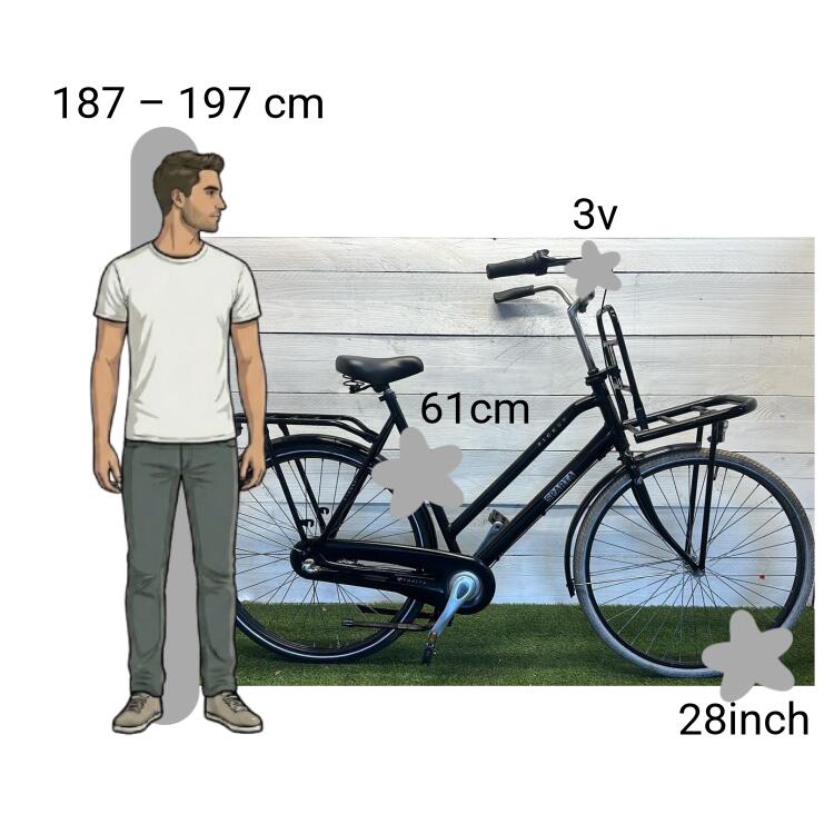 Bicicletta usata Sparta Pick Up 2/4