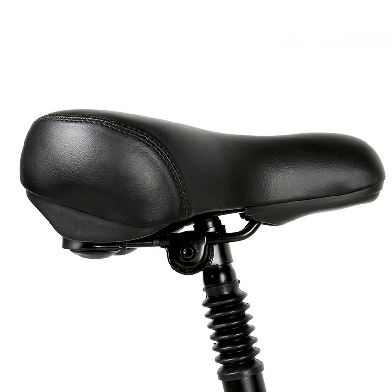 Bicicletta elettrica per adulti SAMEBIKE 20LVXD30-II Batteria 48V 10.4Ah 8/15