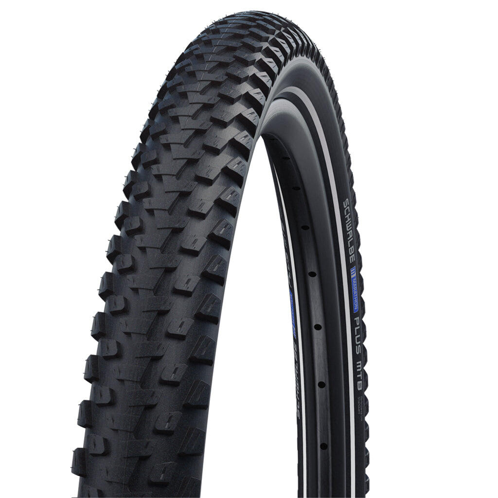 SCHWALBE picture
