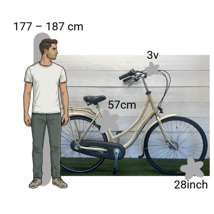 Bicicletta usata Sparta Country 2/4