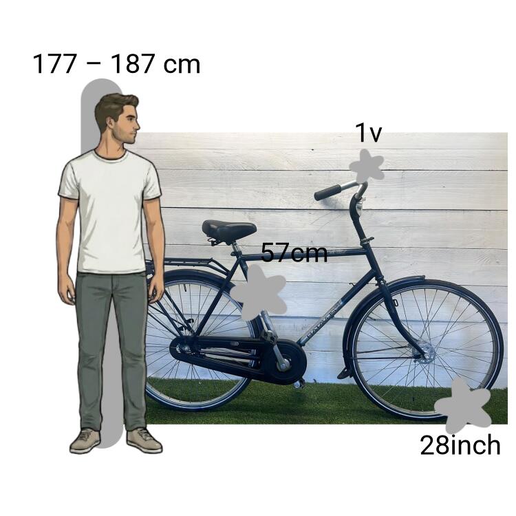 Bicicletta usata Batavus Future 2/4