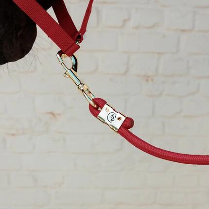Longe Reiten Kentucky Horsewear Basic