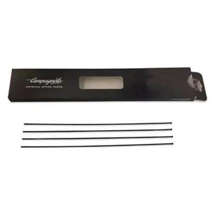 Szprychy przednie Campagnolo calima (x4)