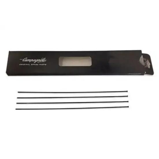 Szprychy przednie Campagnolo calima (x4)