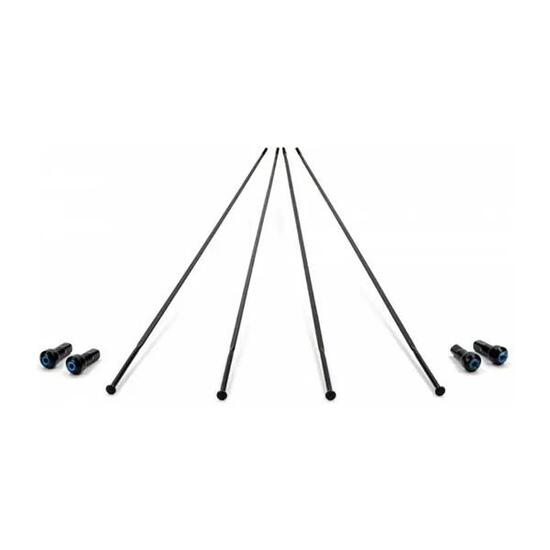 Rayons roue à disque avant gauche/arrière droit Campagnolo Bora One 50 (x4)