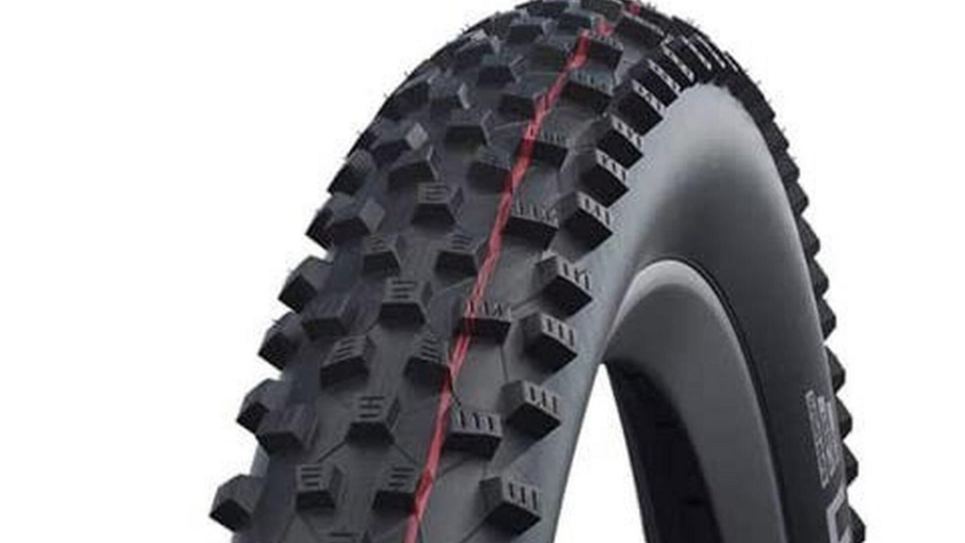 SCHWALBE picture