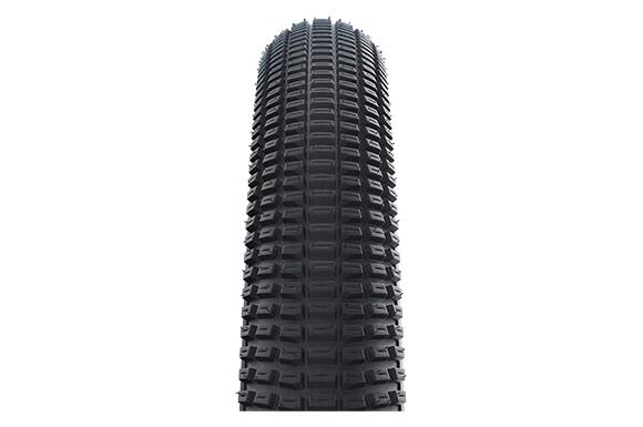 SCHWALBE picture