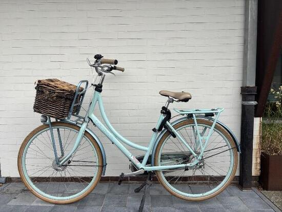 Entre Particuliers - Vélo de ville Batavus Diva