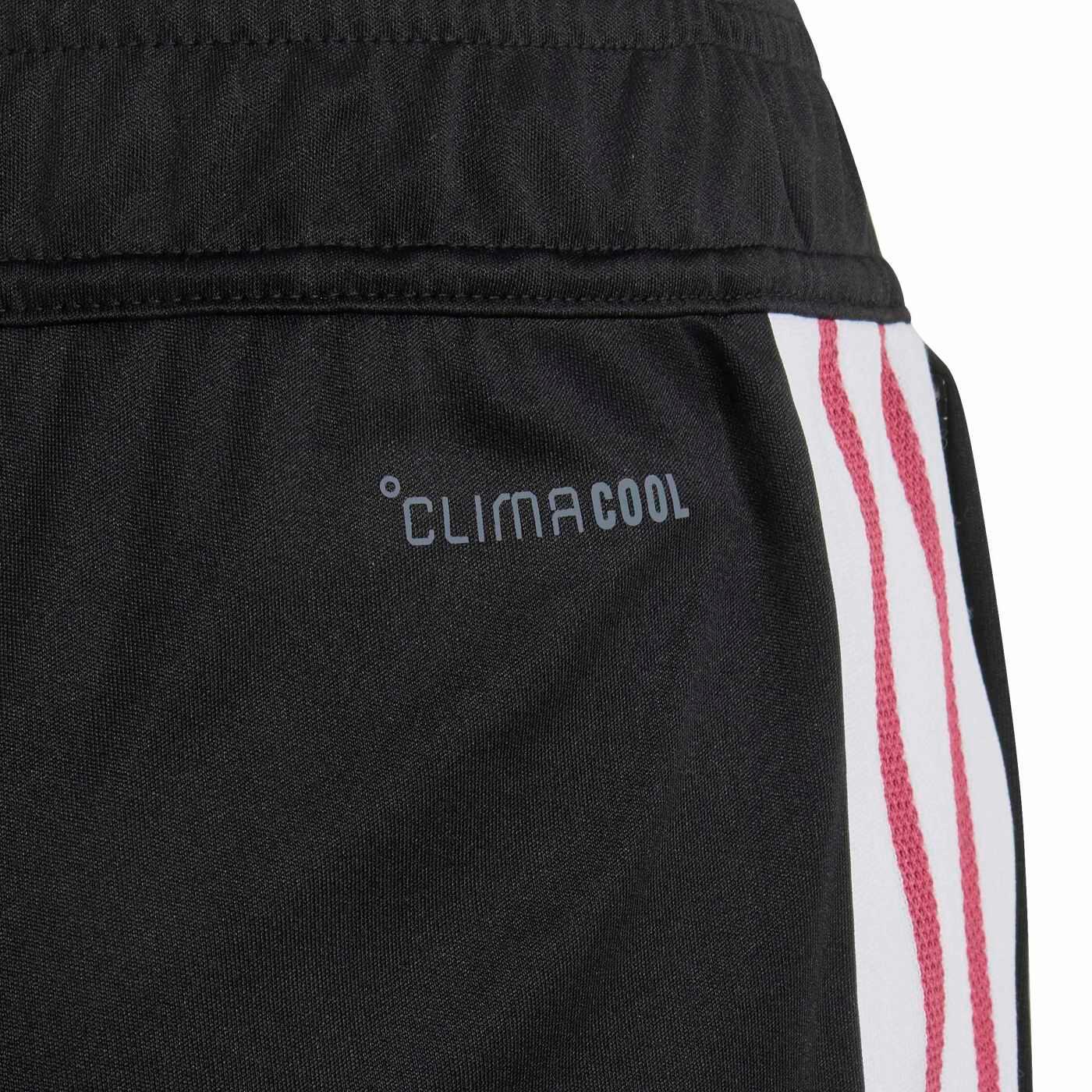 Short de sport All Blacks Adidas Rugby pour Enfant 5/5