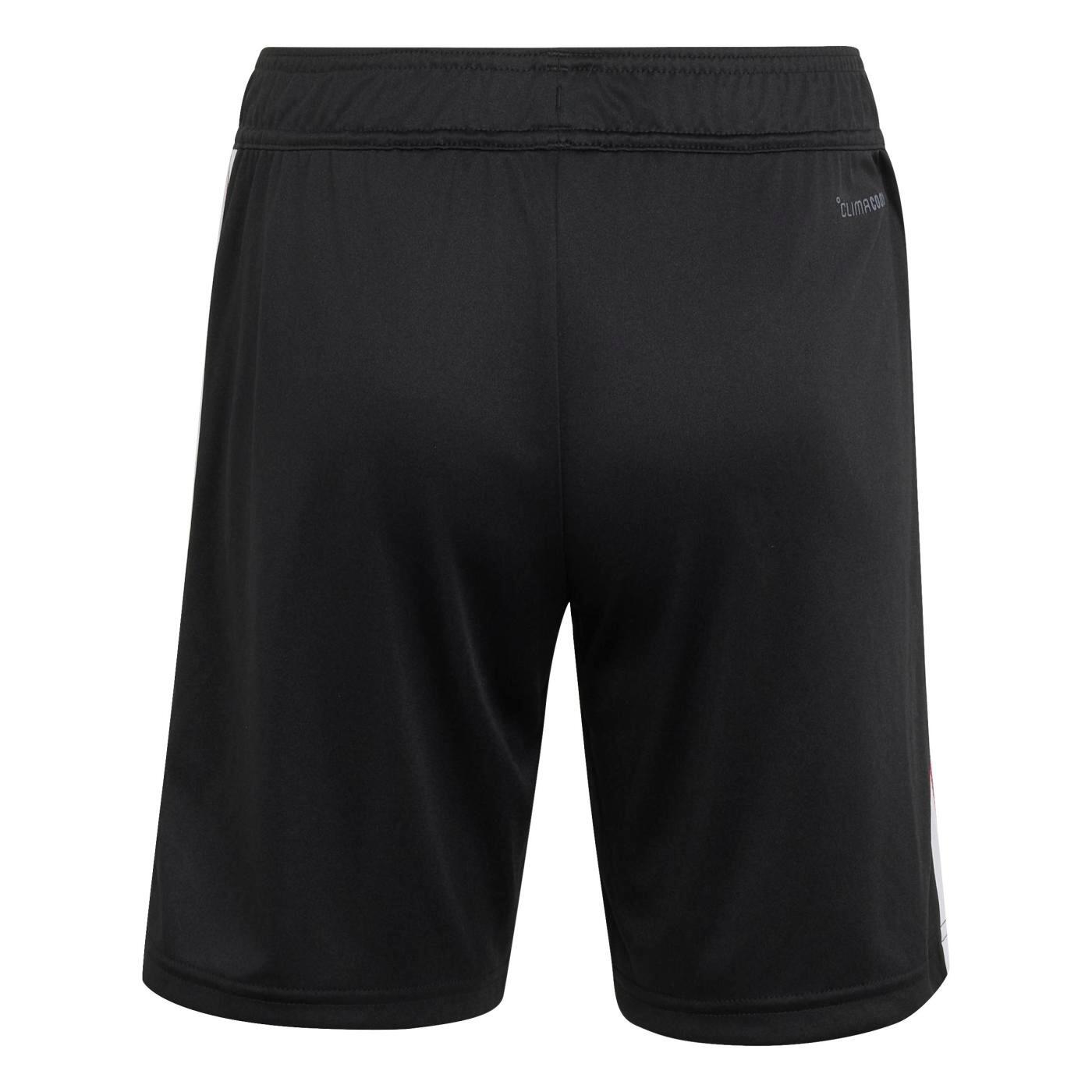 Short de sport All Blacks Adidas Rugby pour Enfant 2/5